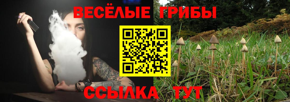 Псилоцибиновые грибы мухоморы  Псилоцибиновые грибы Magic Shrooms  Вход с VPN  Камень-на-Оби 