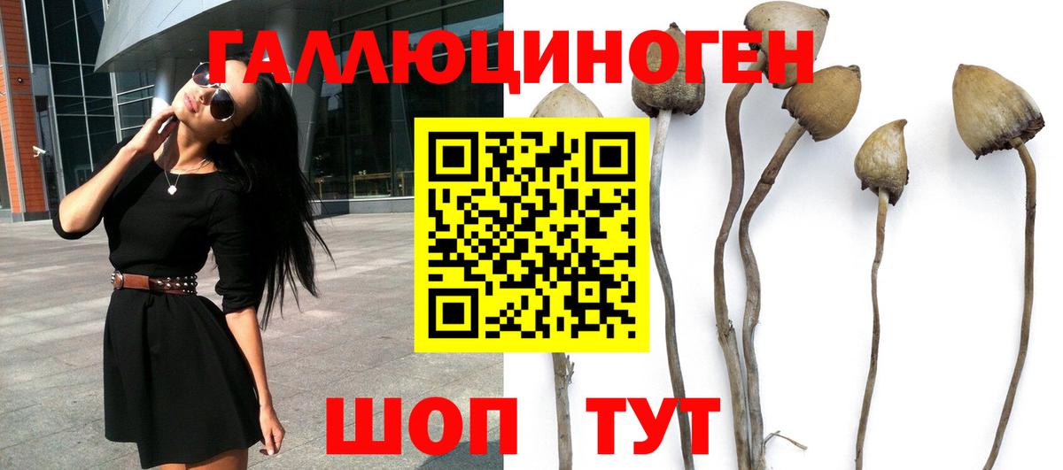 Марихуана Камень-на-Оби